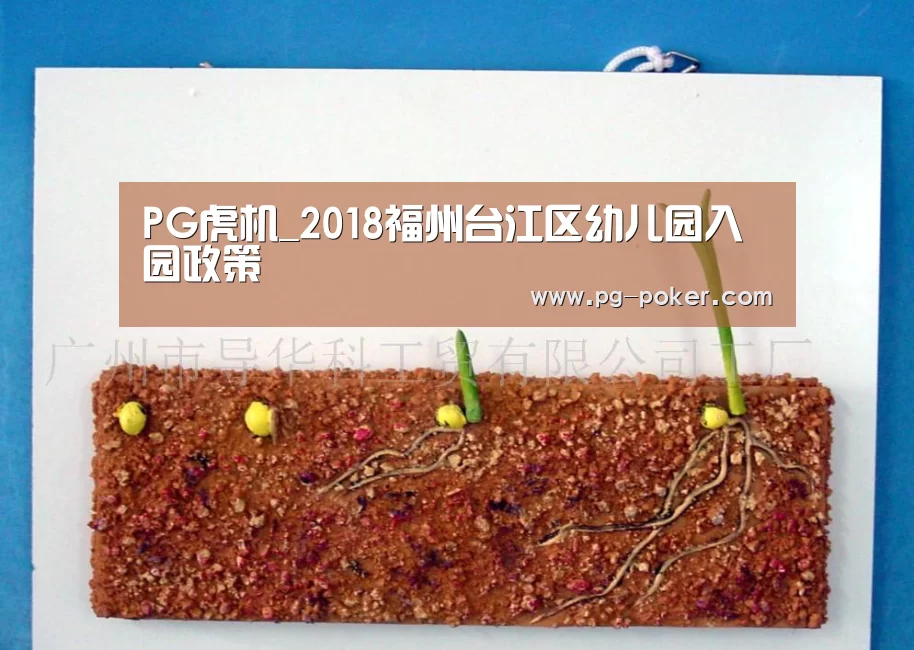 PG虎机_2018福州台江区幼儿园入园政策(图2) PG电子