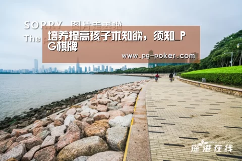 PG虎机