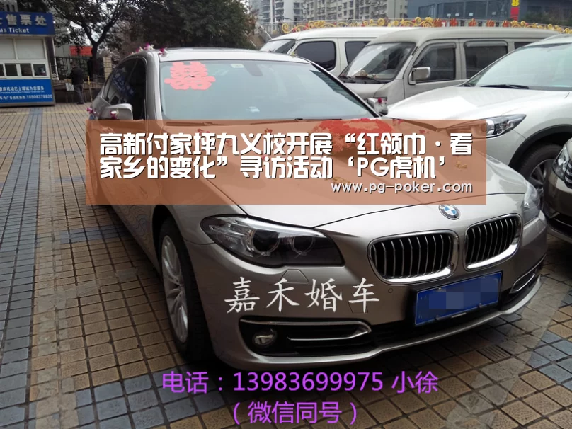 高新付家坪九义校开展“红领巾·看家乡的变化”寻访活动‘PG虎机’(图2) PG棋牌