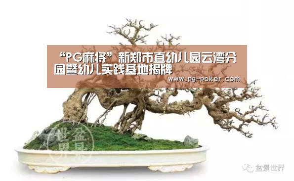 “PG麻将”新郑市直幼儿园云湾分园暨幼儿实践基地揭牌(图4) PG电子